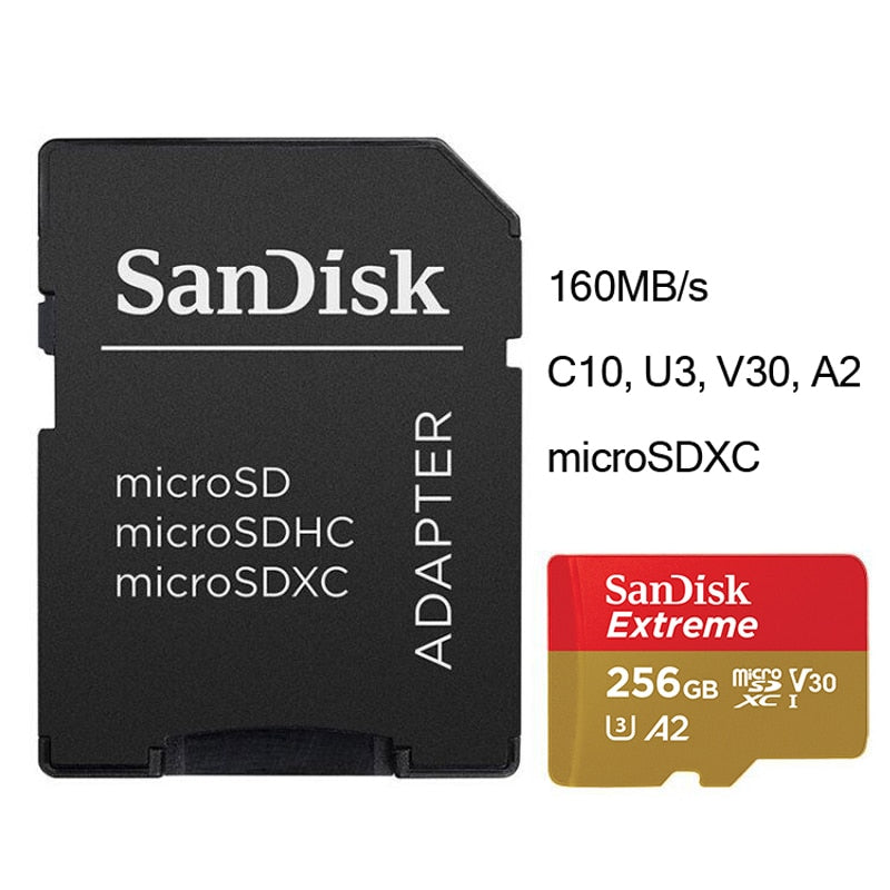 SanDisk Micro SD Card