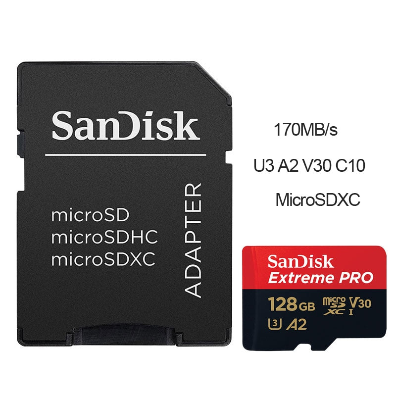 SanDisk Micro SD Card