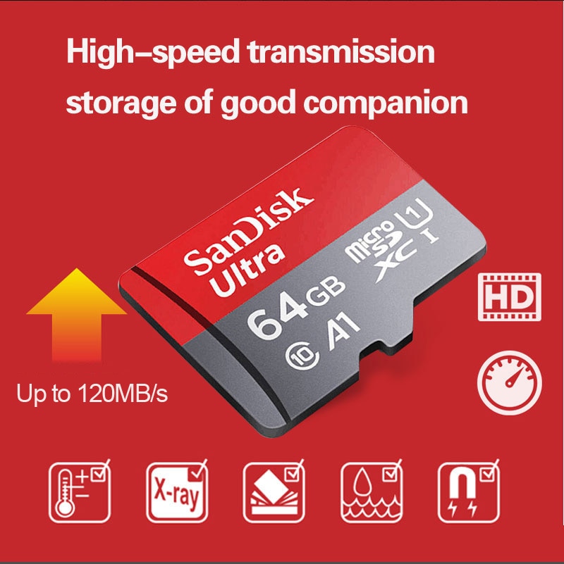 SanDisk Micro SD Card