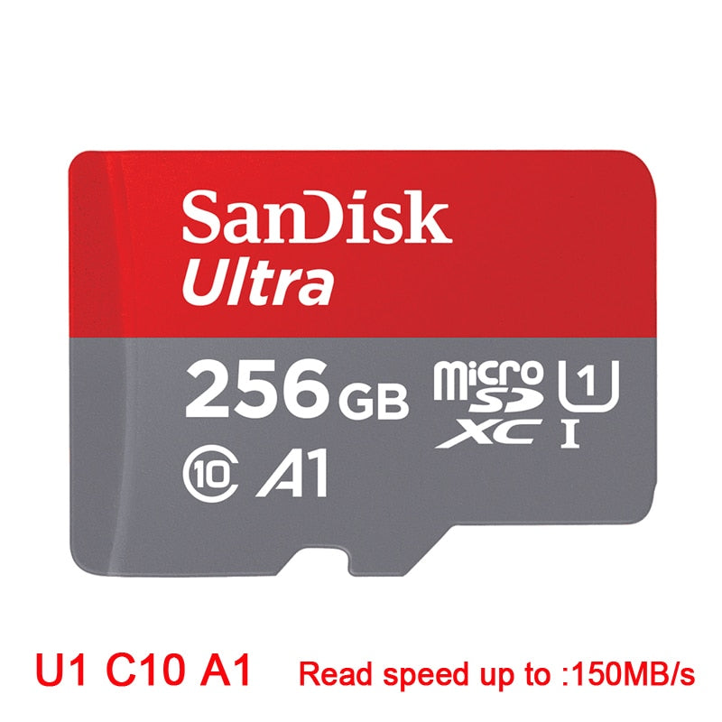 SanDisk Micro SD Card