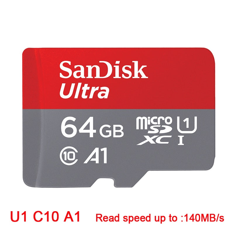 SanDisk Micro SD Card