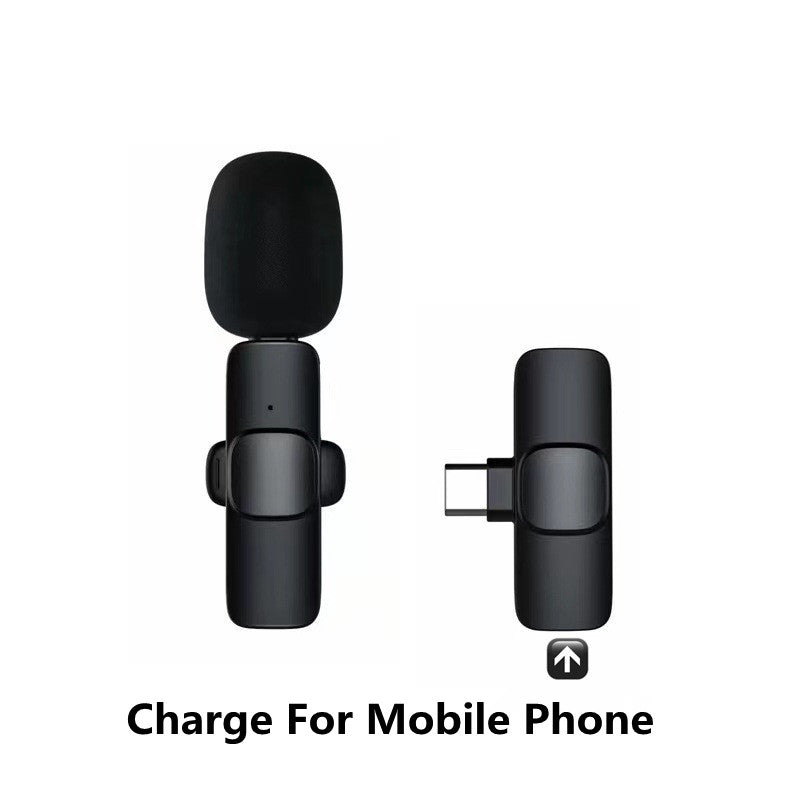 Portable Audio Recording Mini Mic