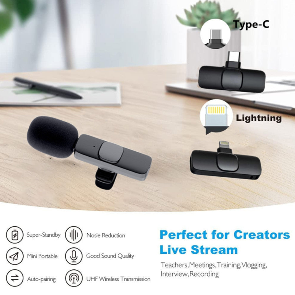 Portable Audio Recording Mini Mic
