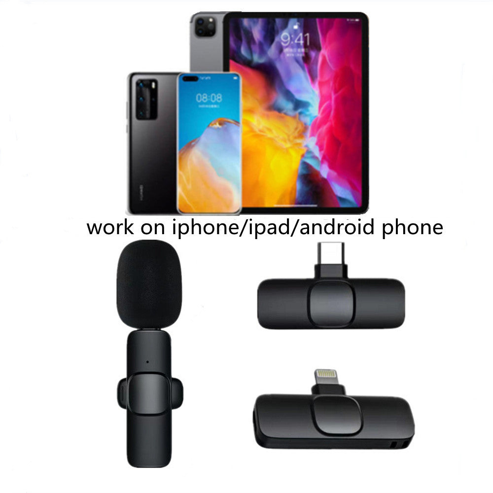 Portable Audio Recording Mini Mic