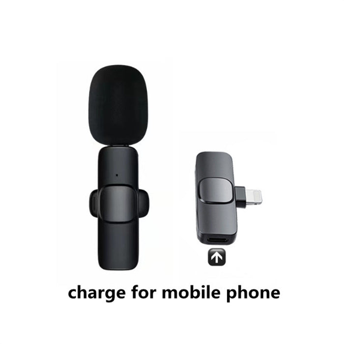 Portable Audio Recording Mini Mic