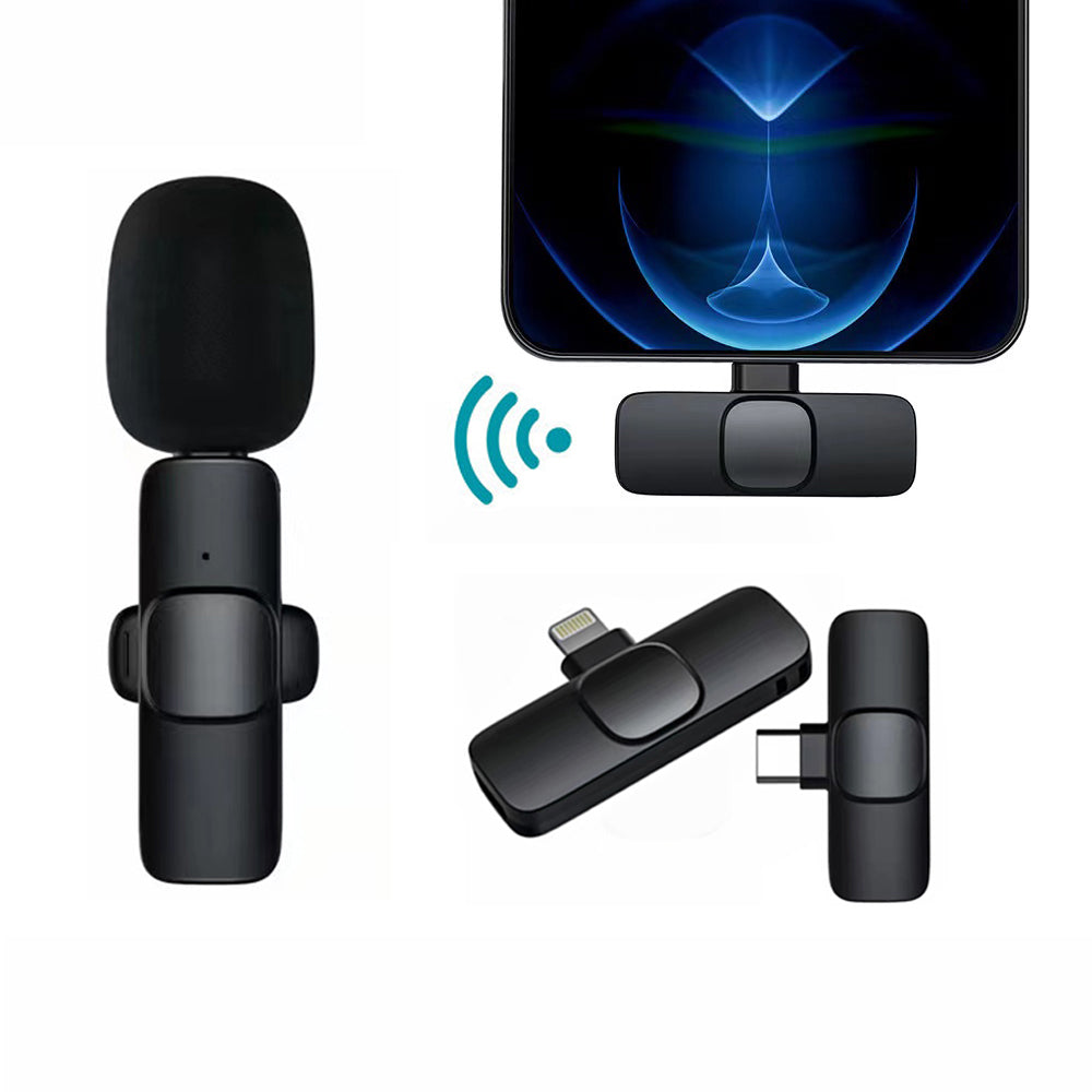 Portable Audio Recording Mini Mic