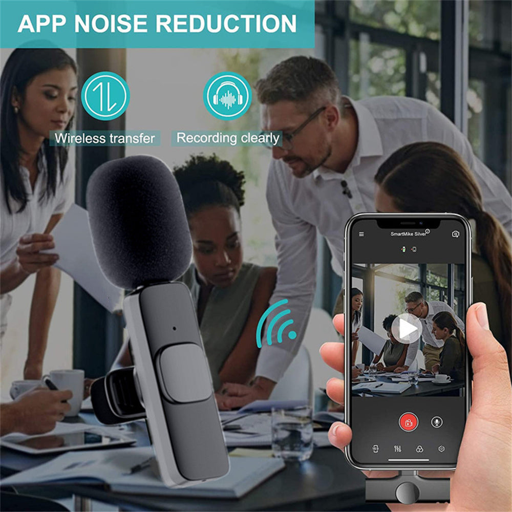 Portable Audio Recording Mini Mic