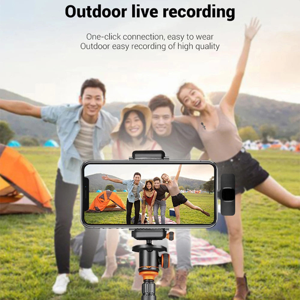 Portable Audio Recording Mini Mic