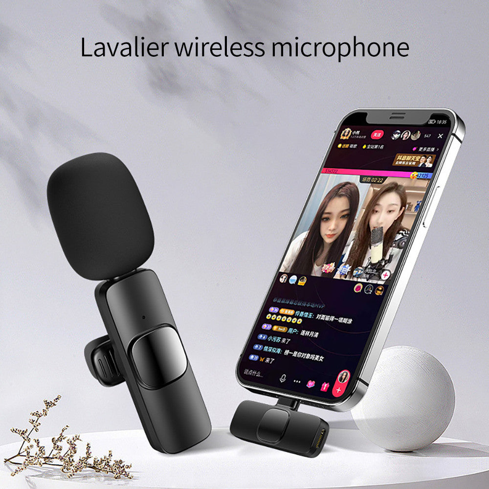 Portable Audio Recording Mini Mic
